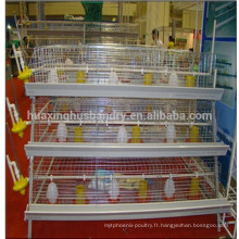 Cage de poulet bon marché de haute qualité / cage de poussin / cage de bébé poussin